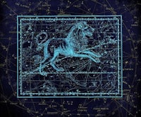 a lion on a blue background with stars and constellations