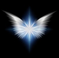 a white angel wings on a black background