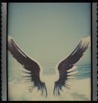 a photo of a pair of wings on a beach